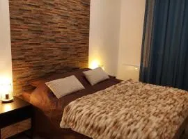 Georges, un appartement au look chic rustique