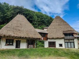 Casa Catrinei, готель із гідромасажними ваннами у місті Văleni