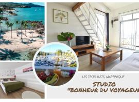 Studio idéal couple, à 200m de très belles plages pointe du bout!, מלון עם חניה בLazaret