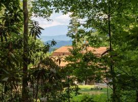 Lazy Bear Cabin, hotel with parking in Sevierville