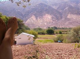 Dormir con llamas, hotel i Maimará