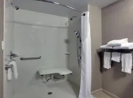 梅多兰兹地区智选假日酒店