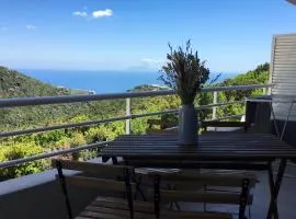 Appartement d'une chambre avec vue sur la mer terrasse amenagee et wifi a Bastia a 2 km de la plage