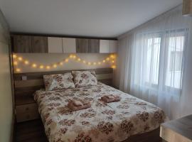 Zen Studio Slatina, hotel mesra haiwan peliharaan di Slatina