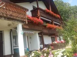 Blumenhof - ERHOLUNG PUR, traumhafte Aussicht