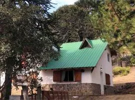 Casa Pehuenia, linda cabaña a pasos del Lago