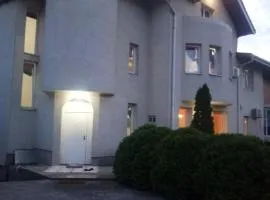 Vila Zvizdic- apartman