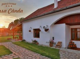 Casa Cânda, hotel v destinaci Sălaşu de Sus