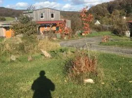 RechHof Urlaub bei Tieren