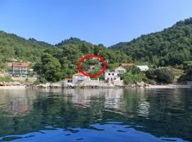 Seaside secluded apartments Cove Rapak, Hvar - 8766