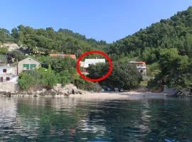 Seaside secluded apartments Cove Rapak, Hvar - 8767