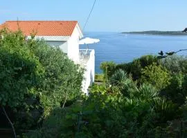 Apartments by the sea Milna, Vis - 8944