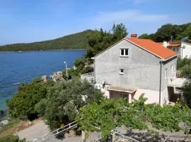 Apartments by the sea Molunat, Dubrovnik - 8956