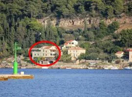Apartments by the sea Vis - 8930
