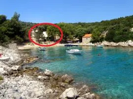 Apartments by the sea Cove Milna - Zastrazisce, Hvar - 8951