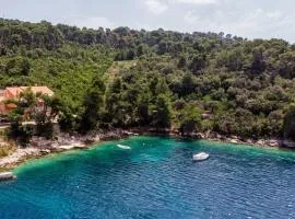 Apartments by the sea Brna, Korcula - 9159
