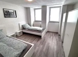 Spacious Work & Stay Apartments Büdesheim