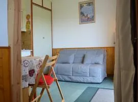 Charmant Studio Montchavin - Terrasse, Proche Pistes et Commerces, Parking Gratuit - FR-1-329-57