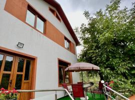 Casa Camelia, hotel with parking in Nehoiu