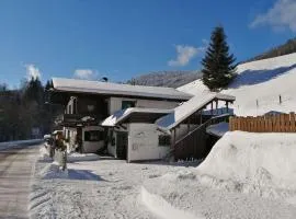 Apartment in Dienten near Gabühel Ski Lift