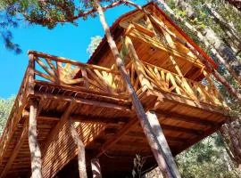 Cabaña en el Bosque de San José del Pacífico 4