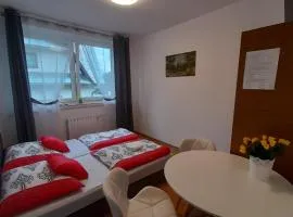 Na Górce W Białym Dunajcu