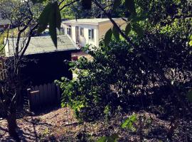 Heerlijk bos chalet met ongekende rust en vrijheid