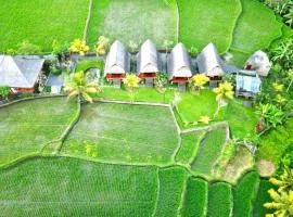 Pondok Gandalangu Ubud-Dikelilingi Hamparan Sawah