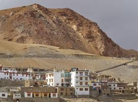 Tsomoriri Hotel Lake View, ξενοδοχείο σε Karzok Gömpa