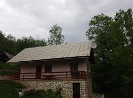 Lupşa에 위치한 호텔 Cabană pe Valea Arieșului