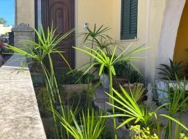 Monte Cuccu Bed & Breakfast