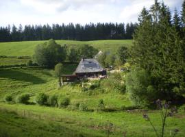 Grundhäusle: Gütenbach şehrinde bir otel