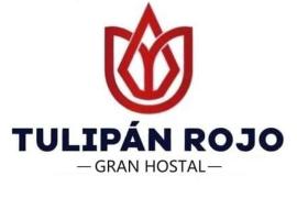 Hostal Tulipán Rojo, отель типа «постель и завтрак» в городе Ламбайеке
