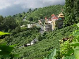 Traditional Hotel & Restaurant !! Kurseong !! Best Hotel in Kurseong