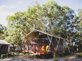 Port Stephens Koala Sanctuary