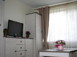 Cosy one room apartment