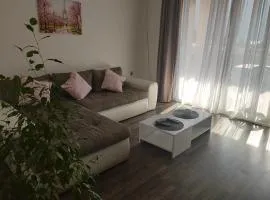 Pocanic's apartment