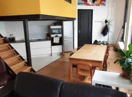 Duplex industriel au coeur de Lyon