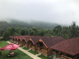 Căsuțele Doftanei, cabin in Teşila