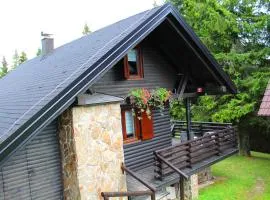 Apartment Bajta - Rogla