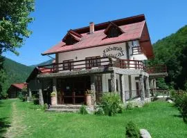 Cabana Retezat