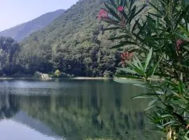 L’Angolino di MAGDA: on the lake-PRIVATE beach!