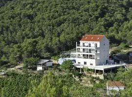 Holiday house with a swimming pool Stomorska, Solta - 15950