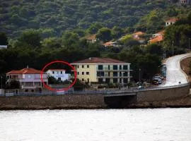 Apartments by the sea Rogac, Solta - 16223