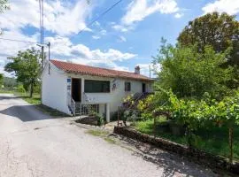 Apartments with a parking space Buzet, Central Istria - Sredisnja Istra - 17333