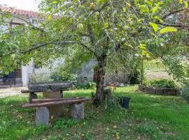 Apartments with parking space Buzet, Central Istria - Sredisnja Istra - 17333