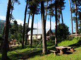 Guest House on Meskheti