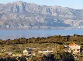 Family friendly house with a swimming pool Skrip, Brac - 15297