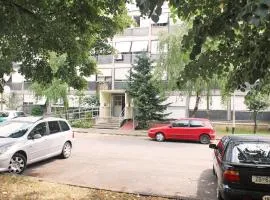 Apartments with WiFi Zagreb - 15474