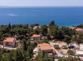 Apartments with a parking space Ivan Dolac, Hvar - 15784